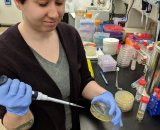 Freddie Miller in lab